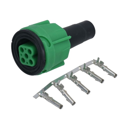 Kit spina pin - pin, verde