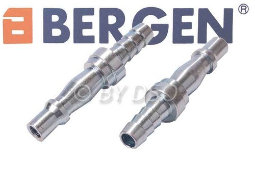 Bergen spina rapida - x,